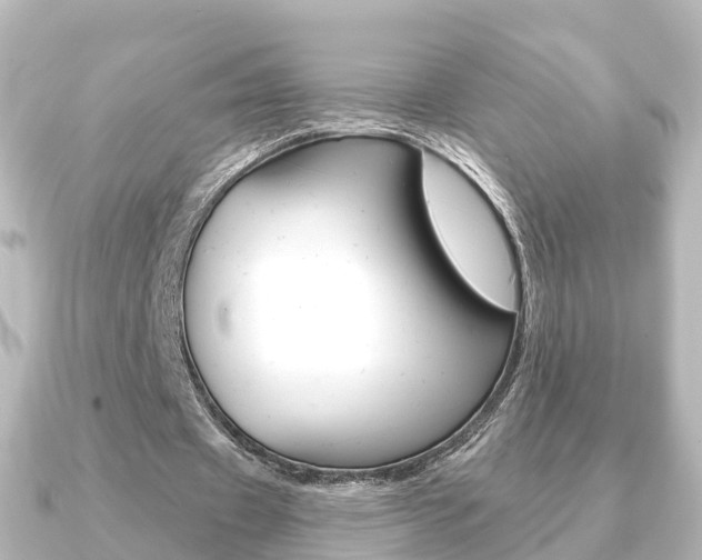 X0000091230433200708091116