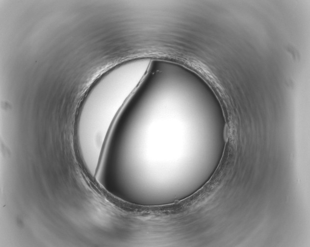 X0000091230434200708091116