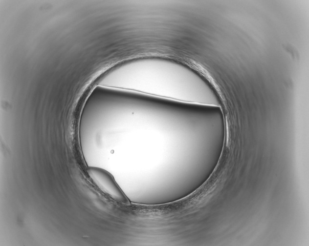 X0000091230435200708091116