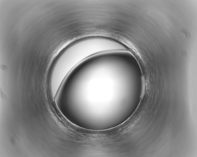 X0000091230436200708091116