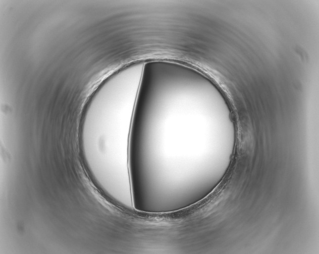 X0000091230437200708091116