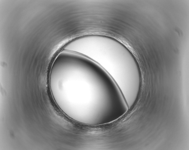 X0000091230438200708091116