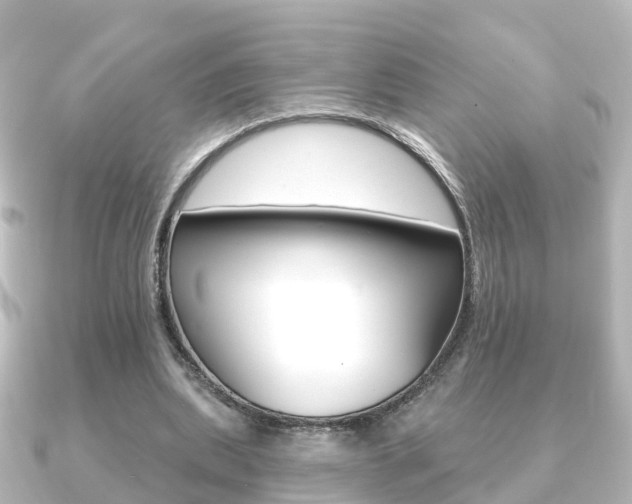X0000091230439200708091116