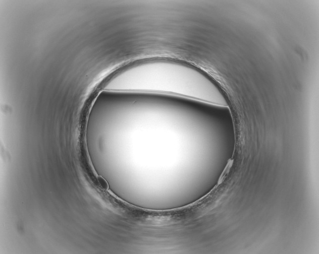 X0000091230440200708091116