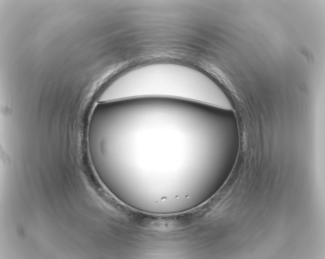 X0000091230444200708091116