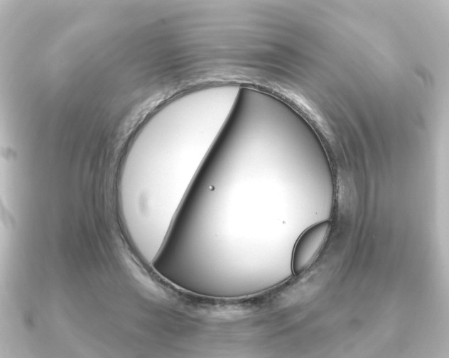 X0000091230445200708091116