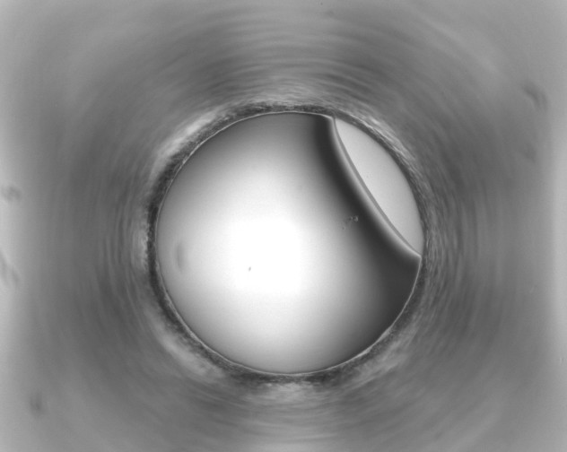 X0000091230446200708091116