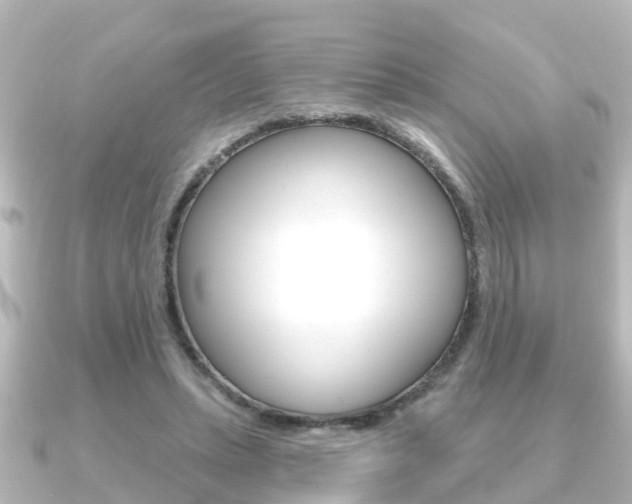 X0000091230447200708091116