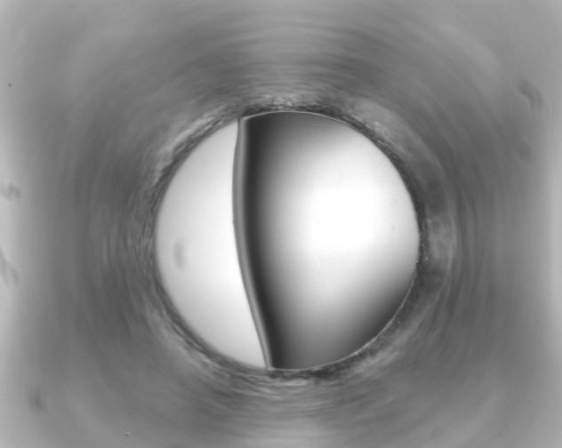X0000091230450200708091116
