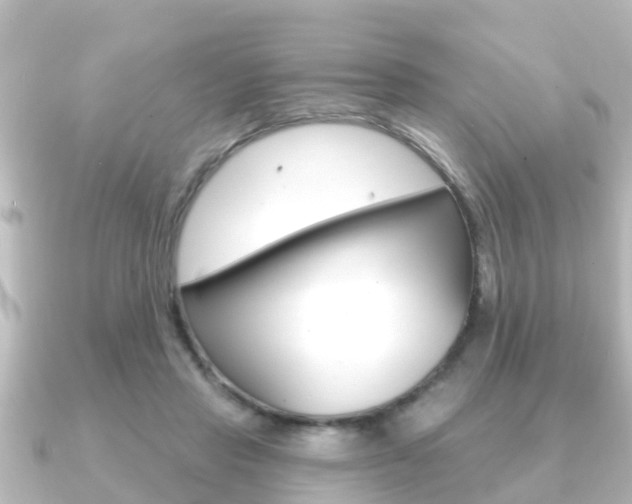 X0000091230453200708091116