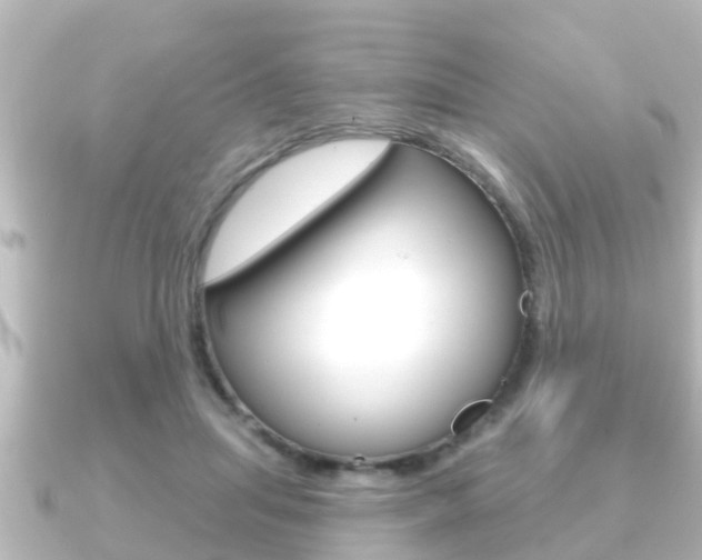X0000091230455200708091116