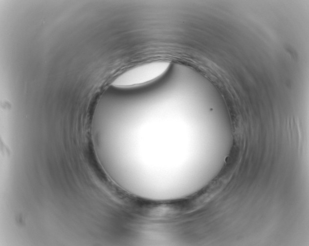 X0000091230460200708091116
