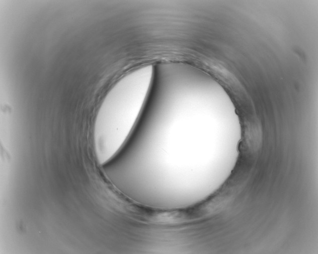 X0000091230461200708091116