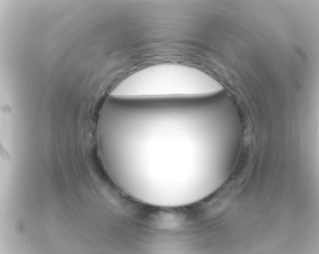 X0000091230464200708091116