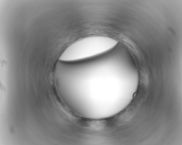 X0000091230465200708091116