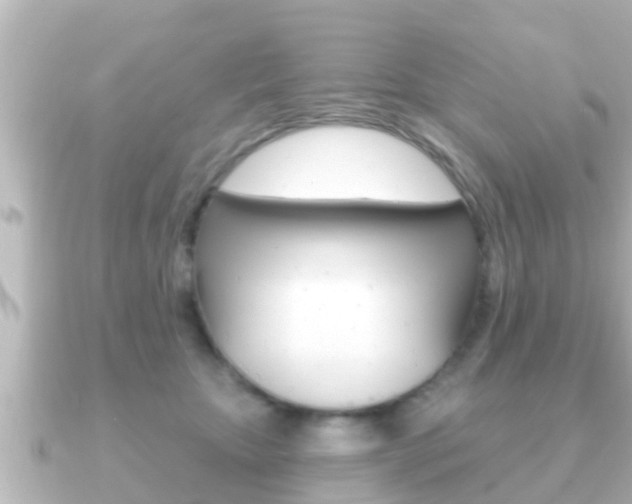 X0000091230467200708091116