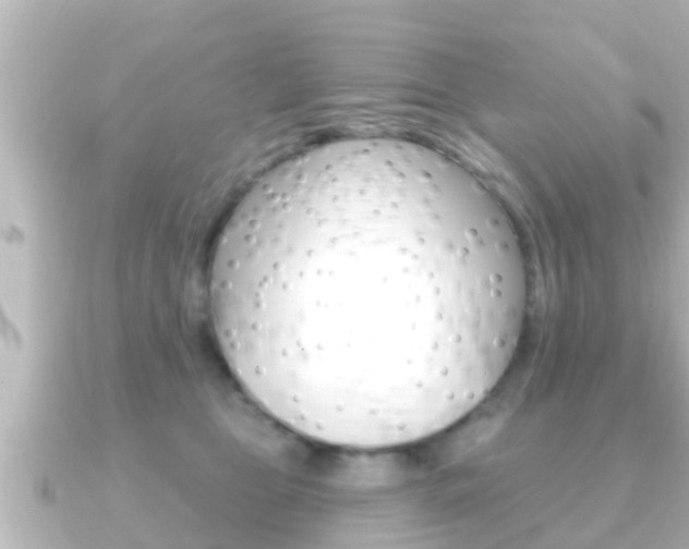 X0000091230469200708091116
