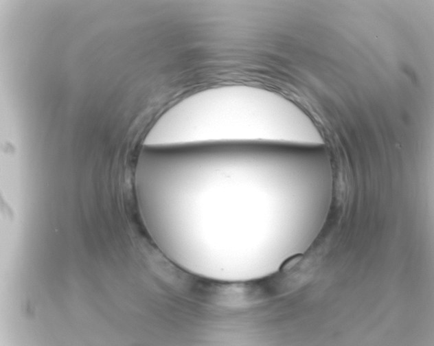 X0000091230473200708091116