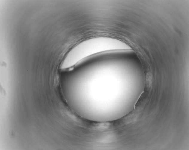 X0000091230474200708091116