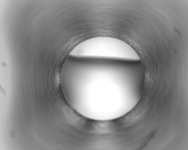 X0000091230479200708091116