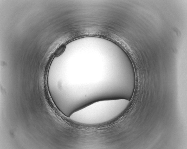 X0000091230482200708091116