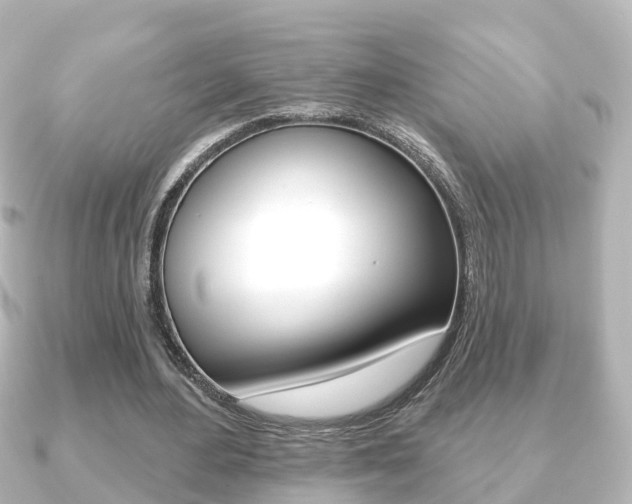 X0000091230484200708091116