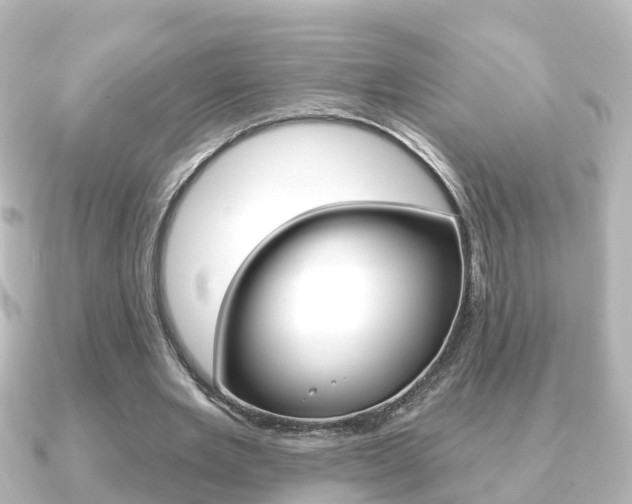 X0000091230485200708091116