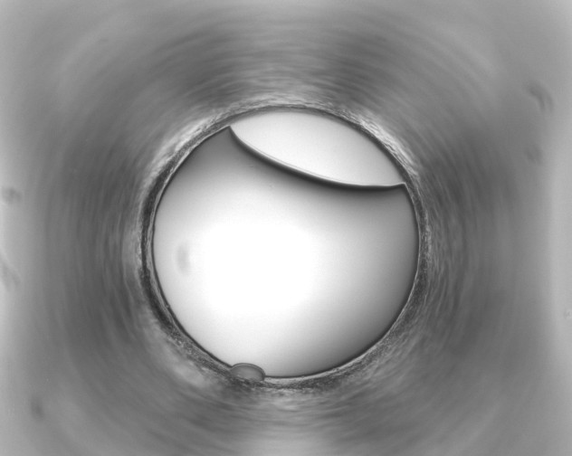 X0000091230486200708091116