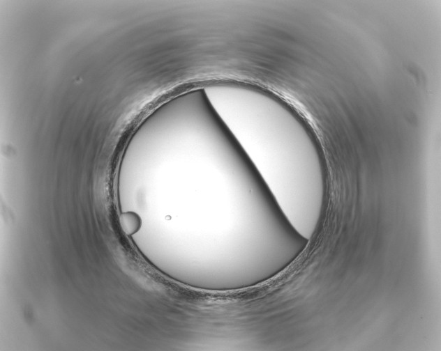 X0000091230487200708091116