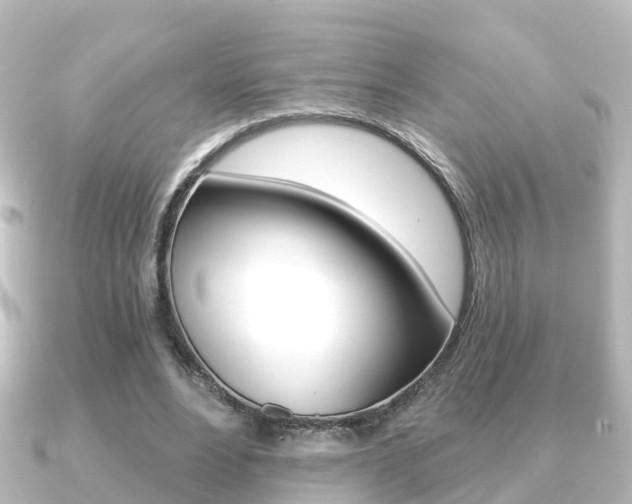 X0000091230488200708091116