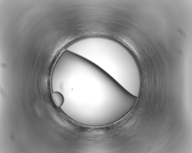 X0000091230491200708091116