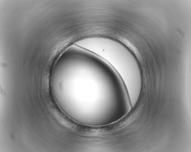 X0000091230493200708091116