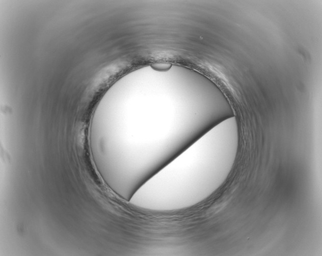 X0000091230495200708091116