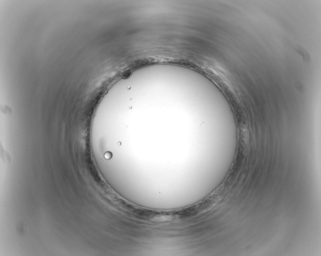 X0000091230499200708091116