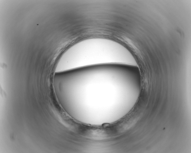 X0000091230500200708091116