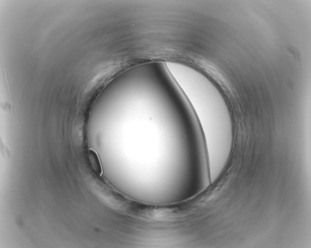X0000091230501200708091116