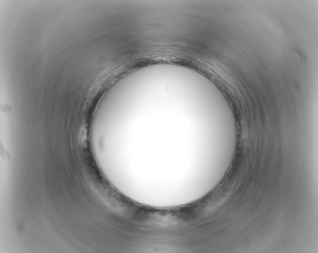 X0000091230502200708091116