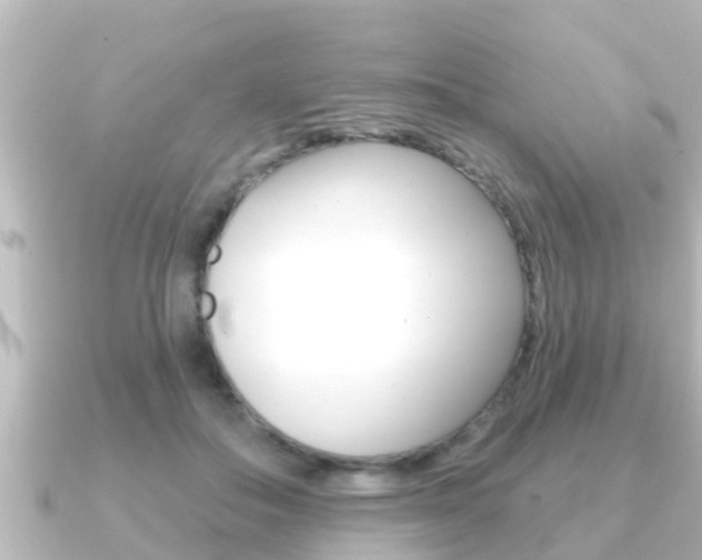 X0000091230506200708091116