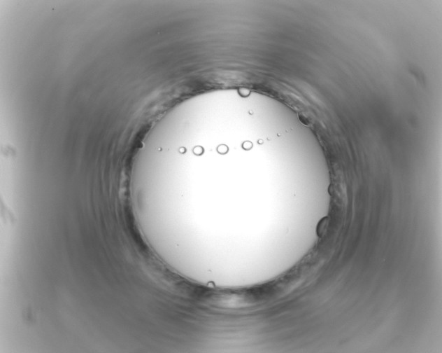 X0000091230507200708091116