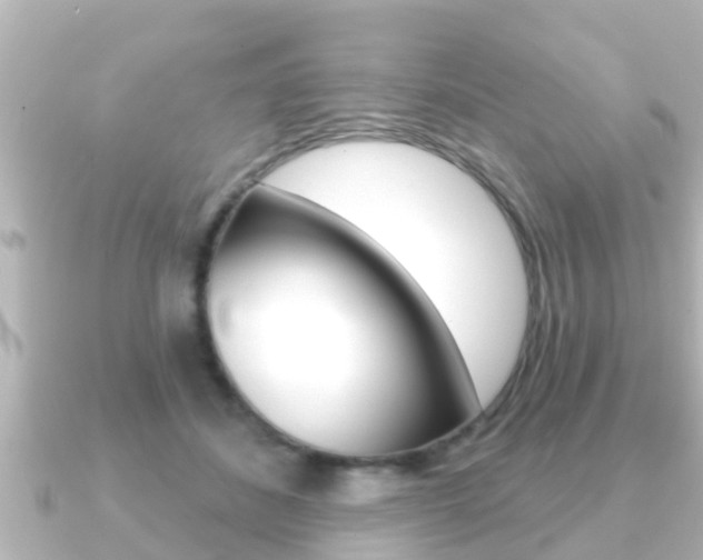 X0000091230508200708091116