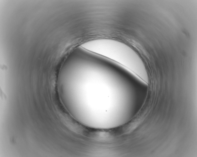 X0000091230509200708091116