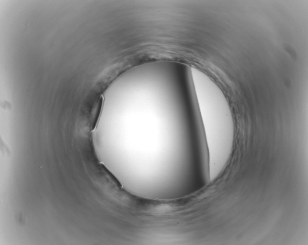 X0000091230513200708091116