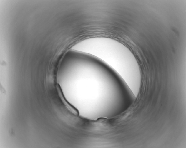 X0000091230516200708091116