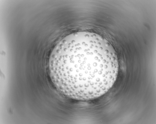 X0000091230519200708091115