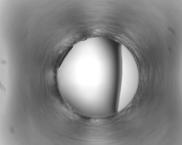X0000091230520200708091115