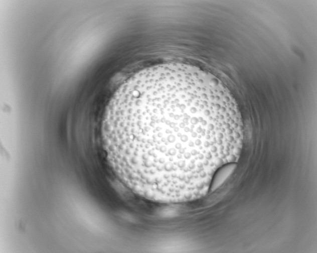X0000091230527200708091115