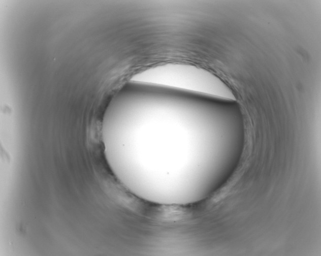 X0000091230528200708091115