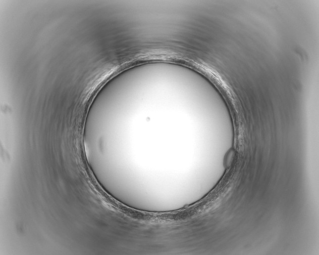 X0000091230529200708091115
