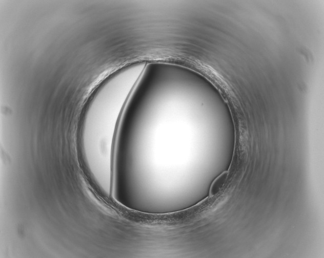 X0000091230530200708091115