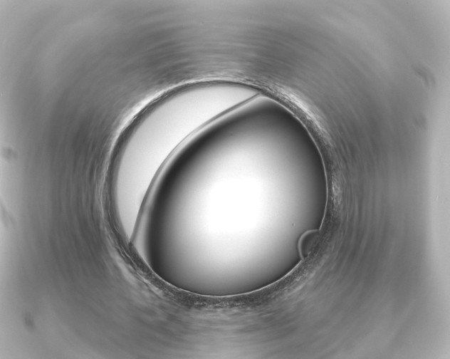 X0000091230532200708091115